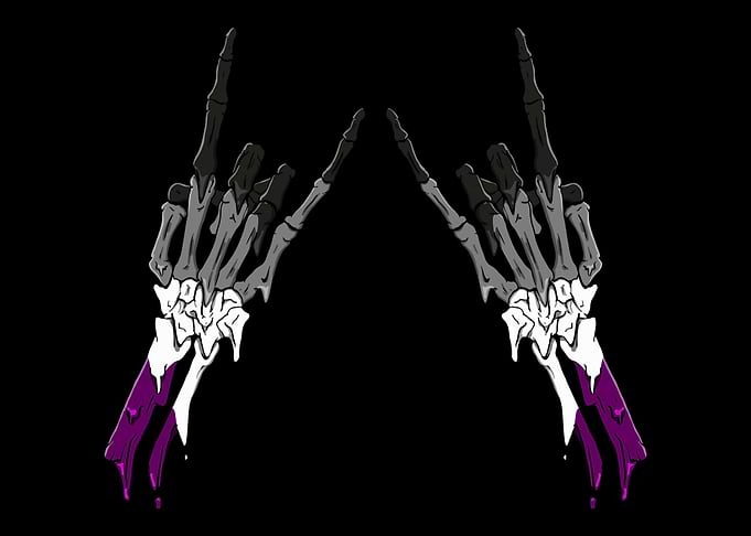 Asexual Pride Ace Flag