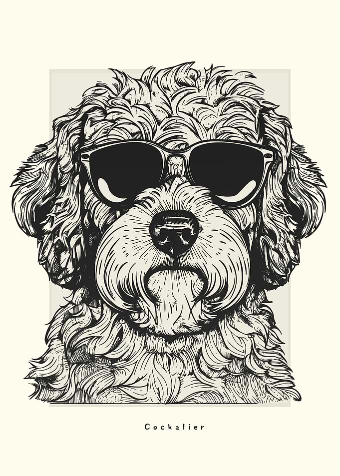 Cockalier Illustration