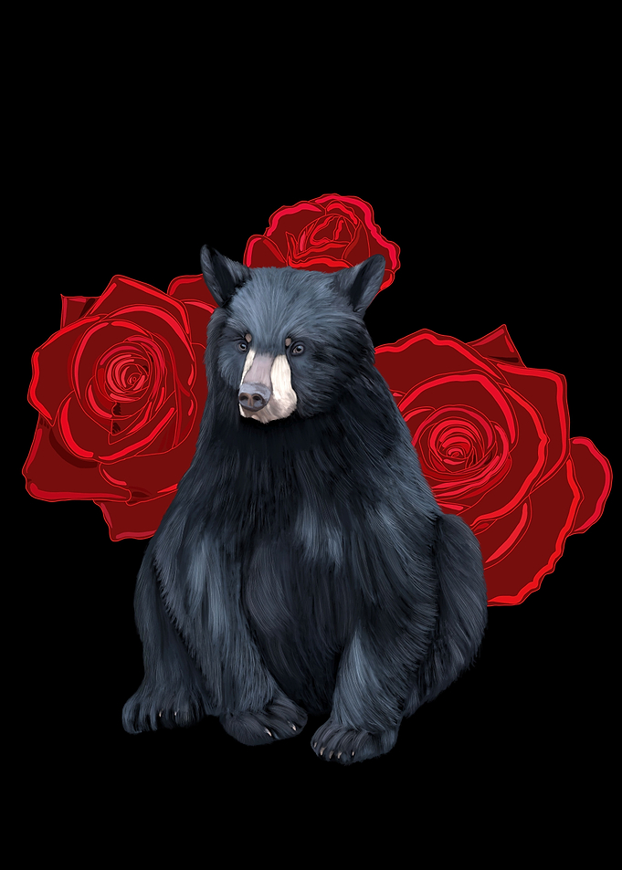 Black Bear Red Roses