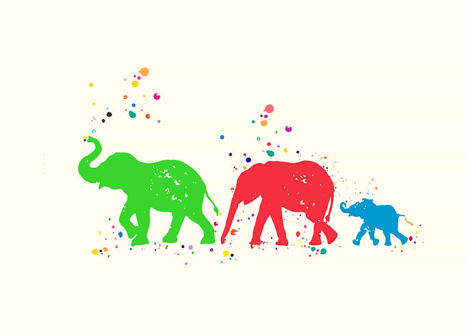 Elephant Family