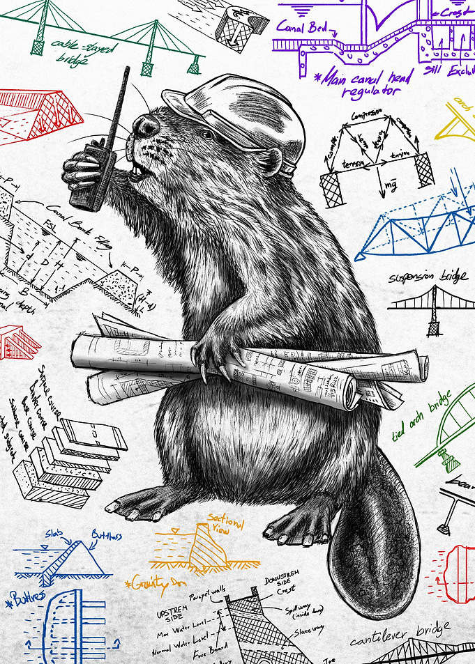 Beaver Civil Engineer W