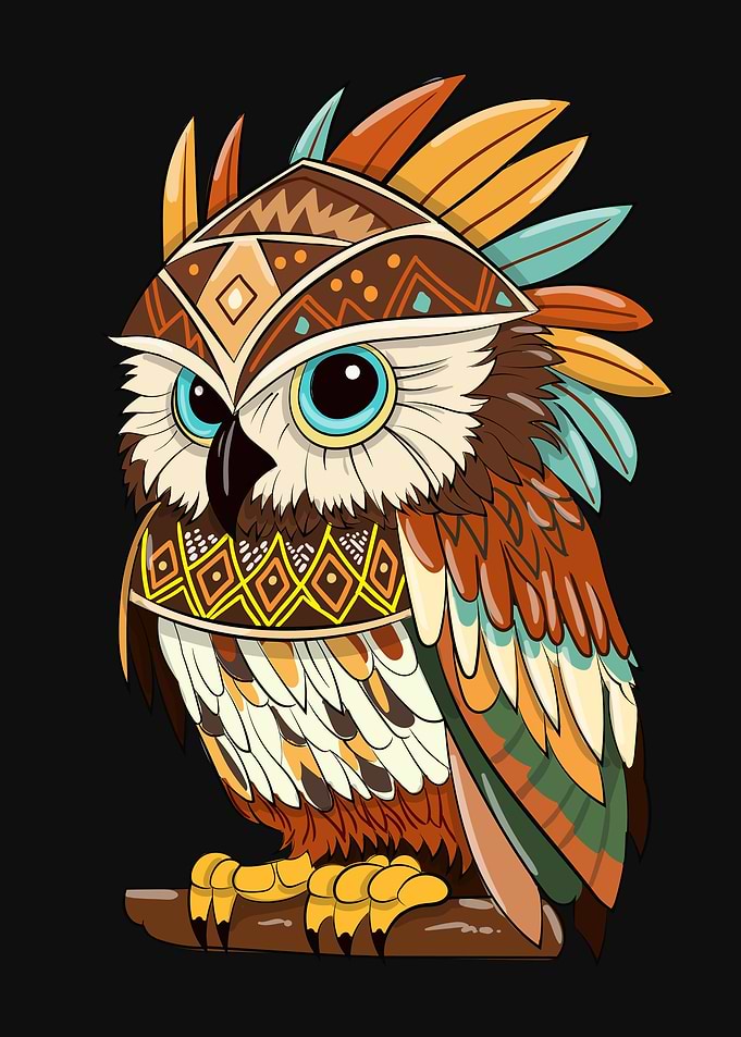 owl Indian