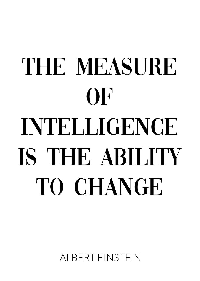 Albert Einstein Quote