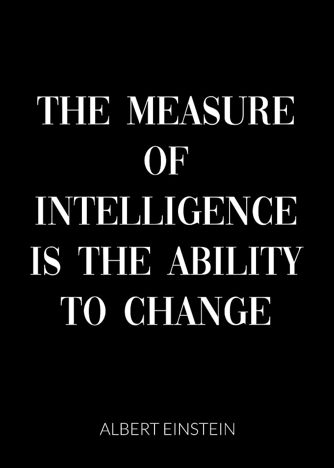 Albert Einstein Quote