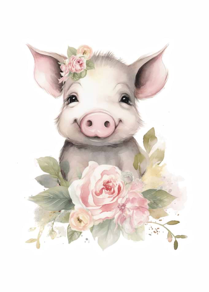Baby Pig