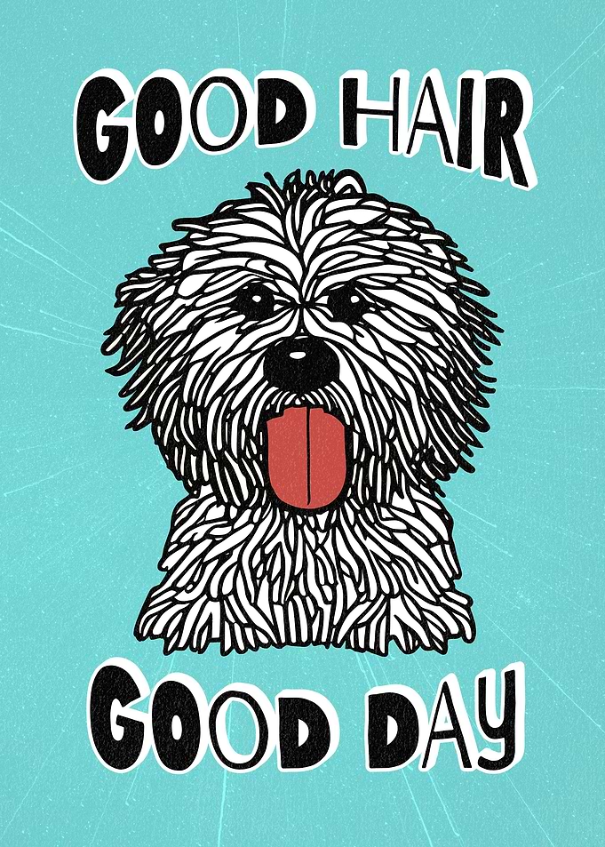 Good Hair Good Day