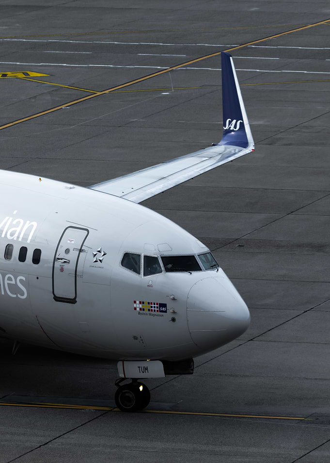 SAS 737 ART