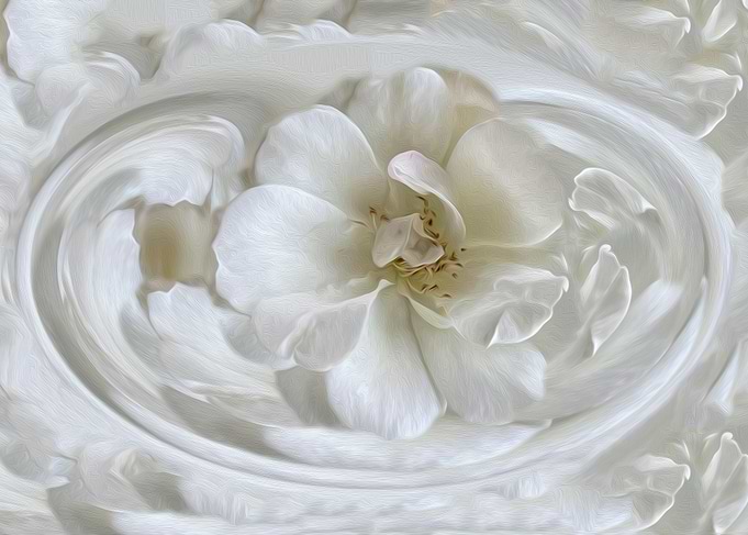 Ivory white