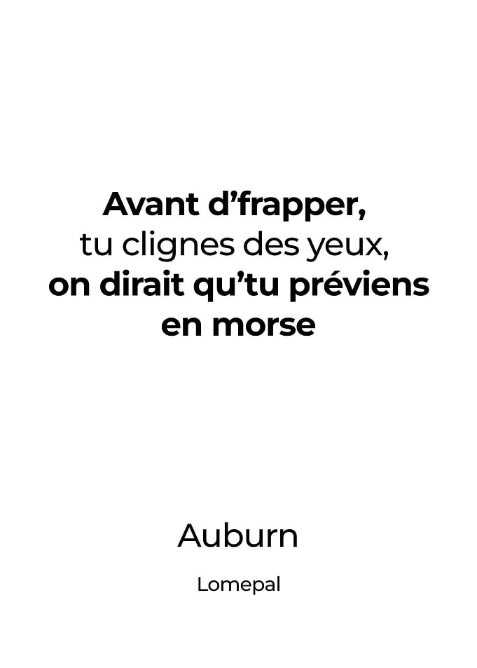 Lomepal Affiche Poster
