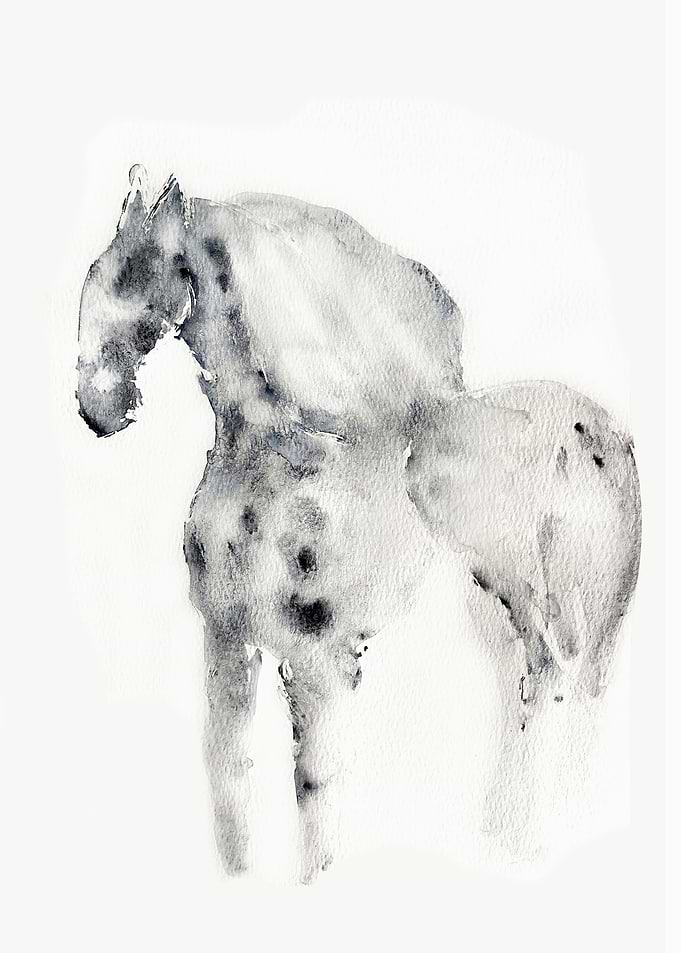 White horse