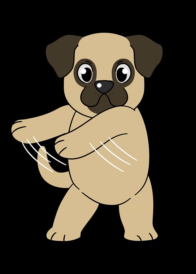 Pug Flossing