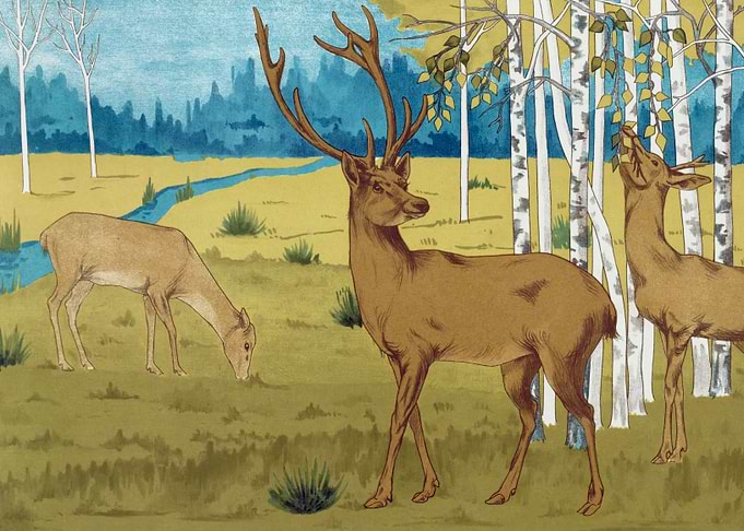 Cerfs