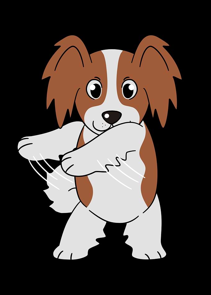 Papillon Flossing