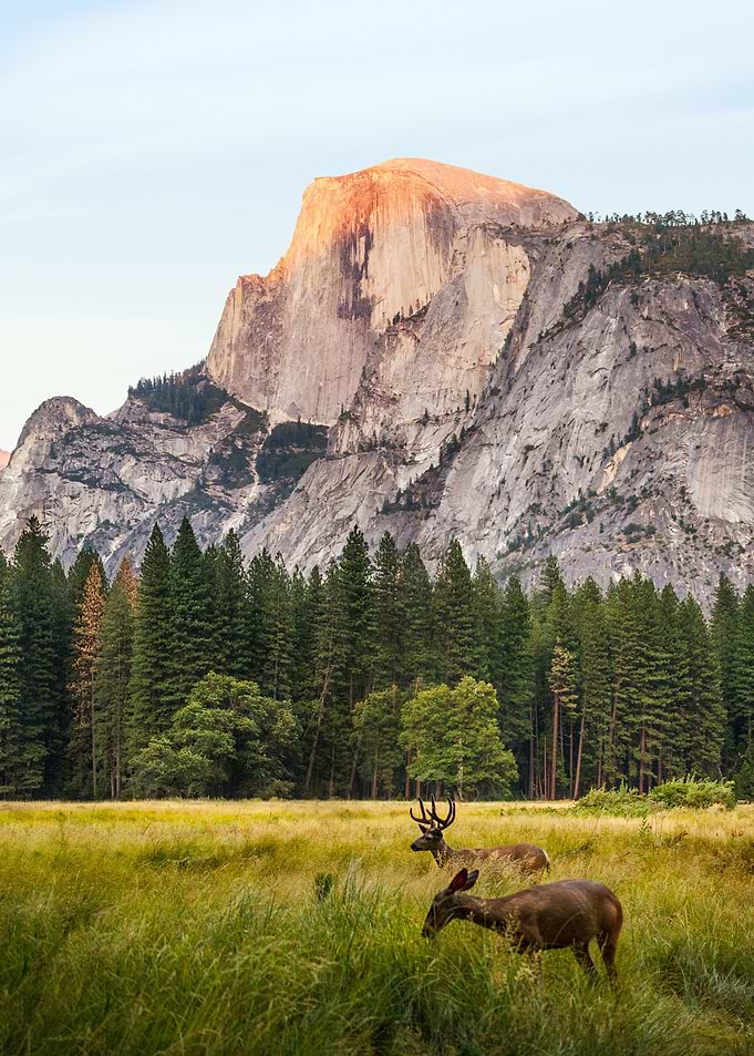 Yosemite National Park