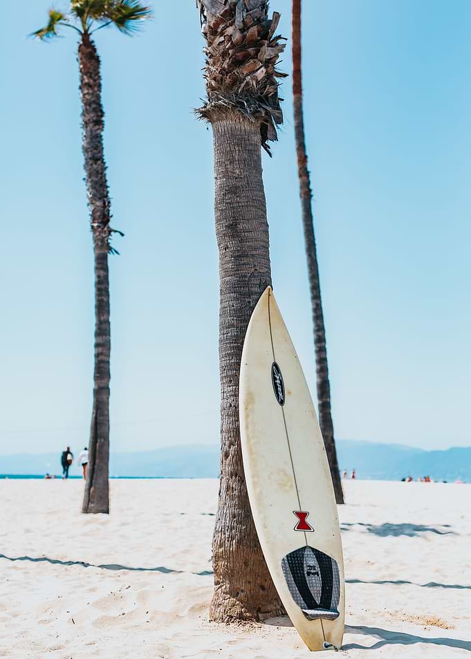 Surf Photography