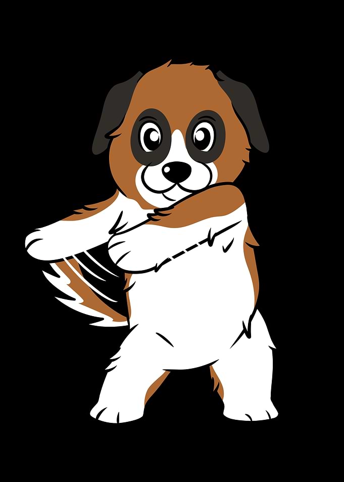 Saint Bernard Flossing