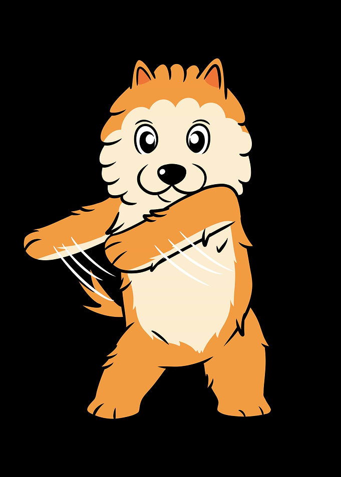 Pomeranian Flossing