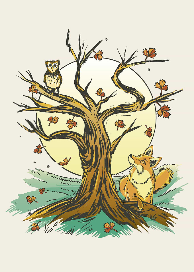 Fox Looking at an Owl