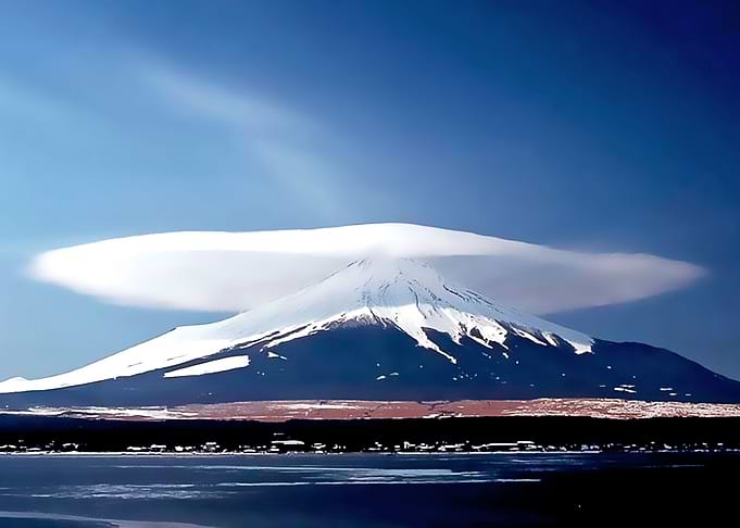 Nature view