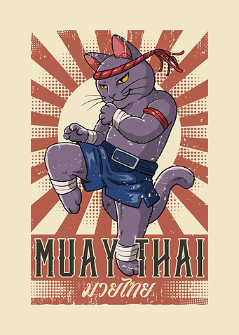 Muay Thai