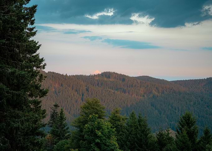 Black forest Feldberg