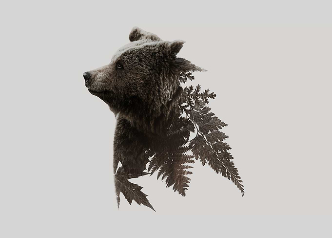 Botanical Brown Bear