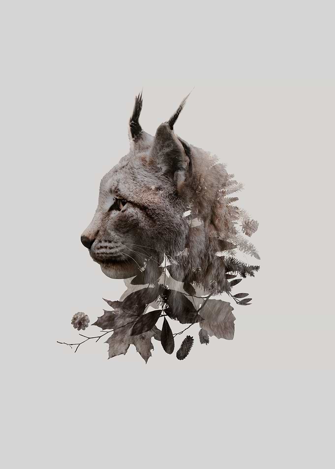 Botanical Lynx