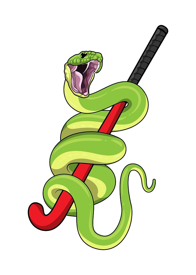 Snake Hockey Hockey stick