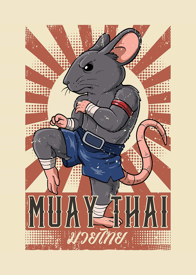 Muay Thai