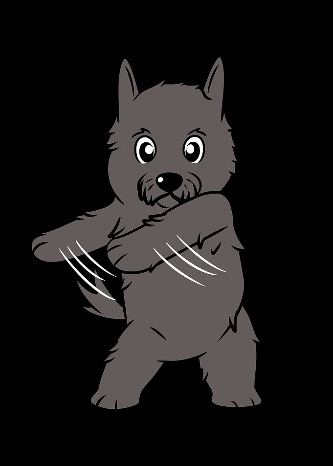Scottish Terrier Flossing
