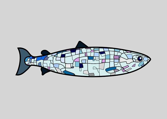 Big Fish On Grey