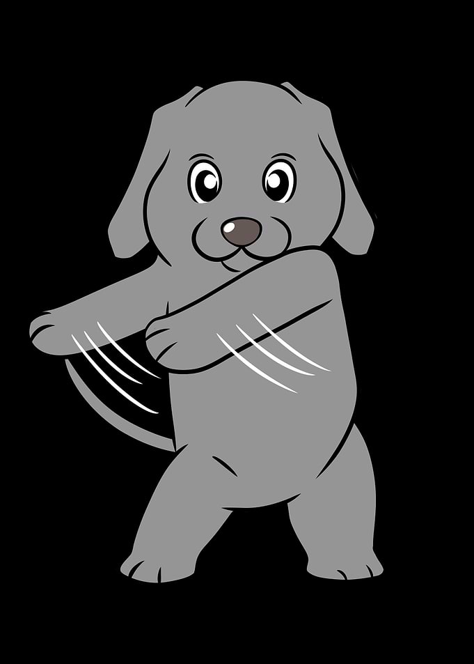 Weimaraner Flossing