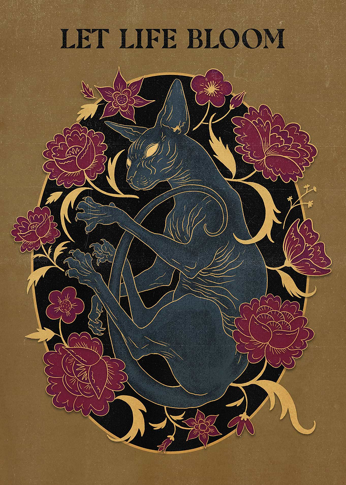 Floral Sphynx Cat