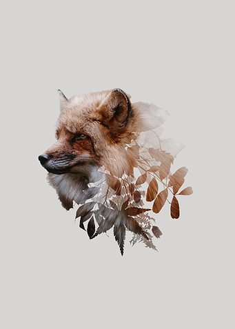 Botanical Fox