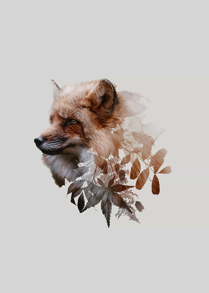 Botanical Fox