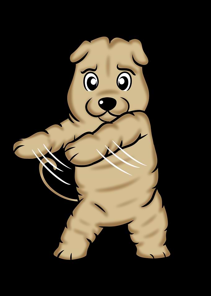 Shar Pei Flossing