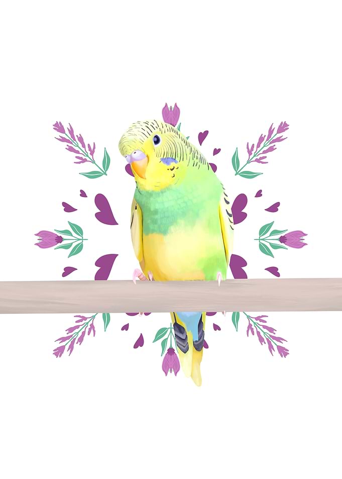 Cute Green Budgie