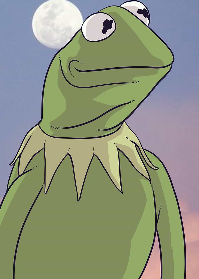 aesthetic kermit