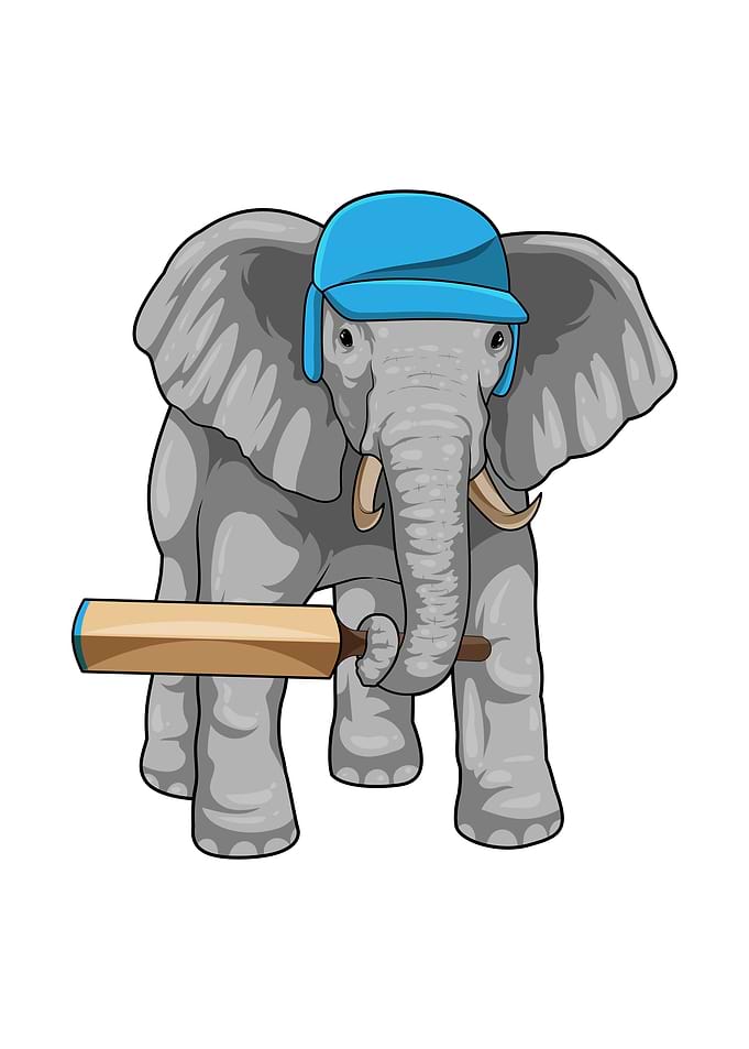 Elephant Cricket
