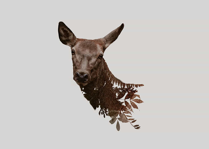 Botanical Doe