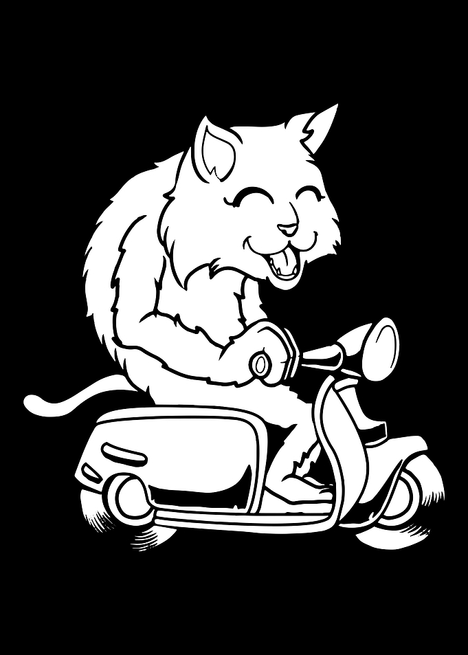 Scooter Bike Cat