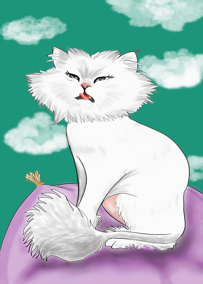 Shaved Cat