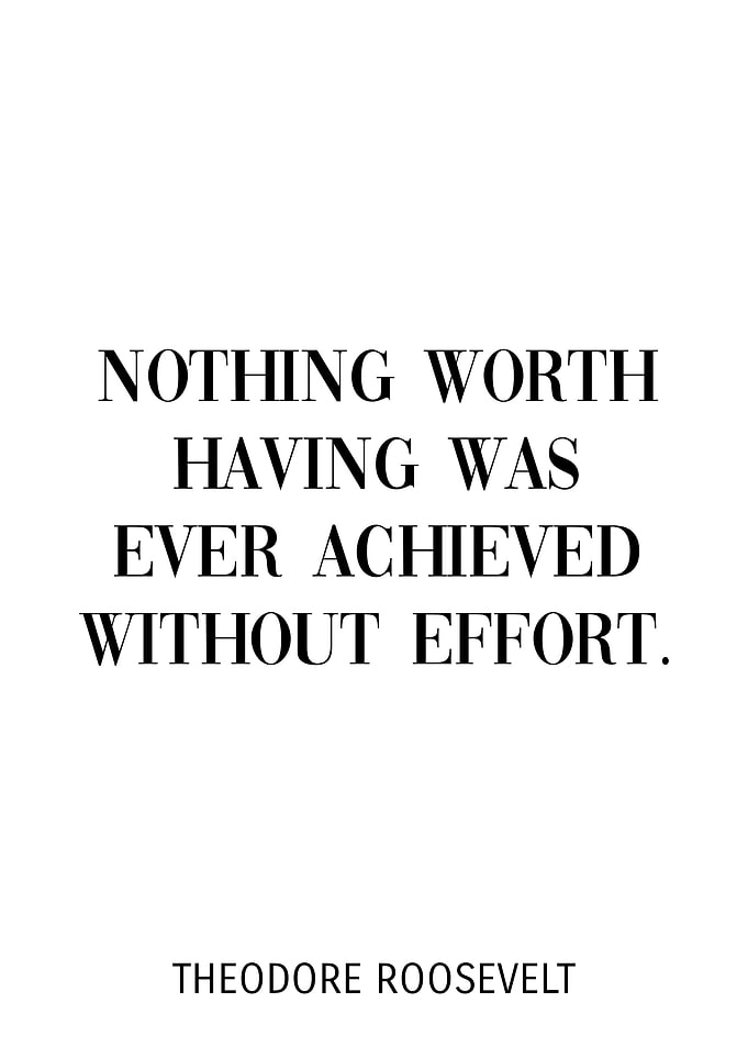 Theodore Roosevelt Quote