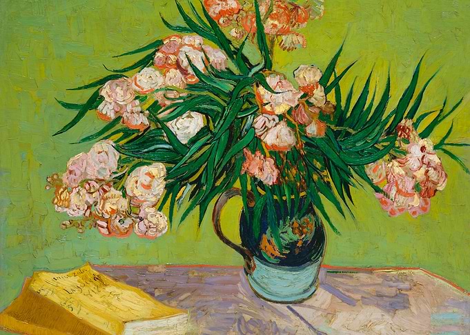 Oleanders
