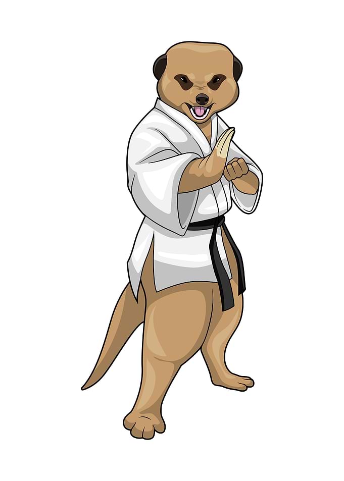 Meerkat Karate