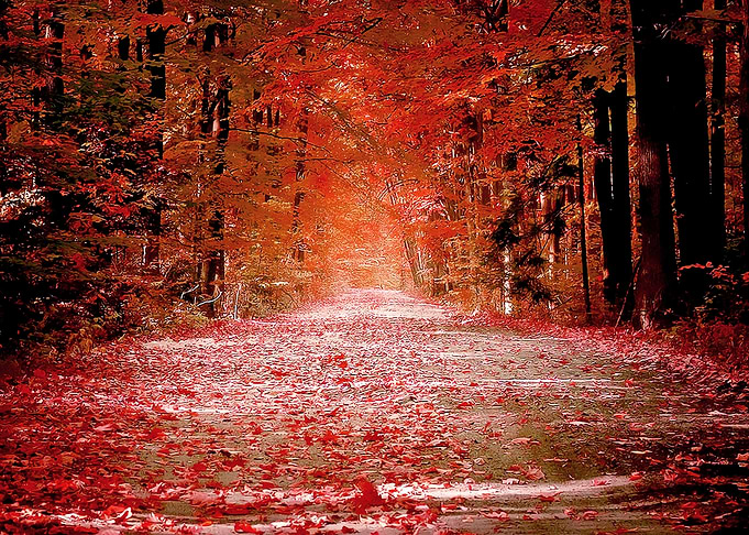 nature view