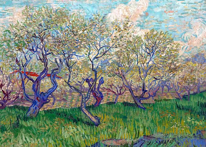 Orchard in Blossom