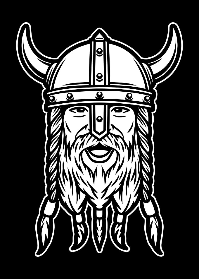 Viking BnW 06