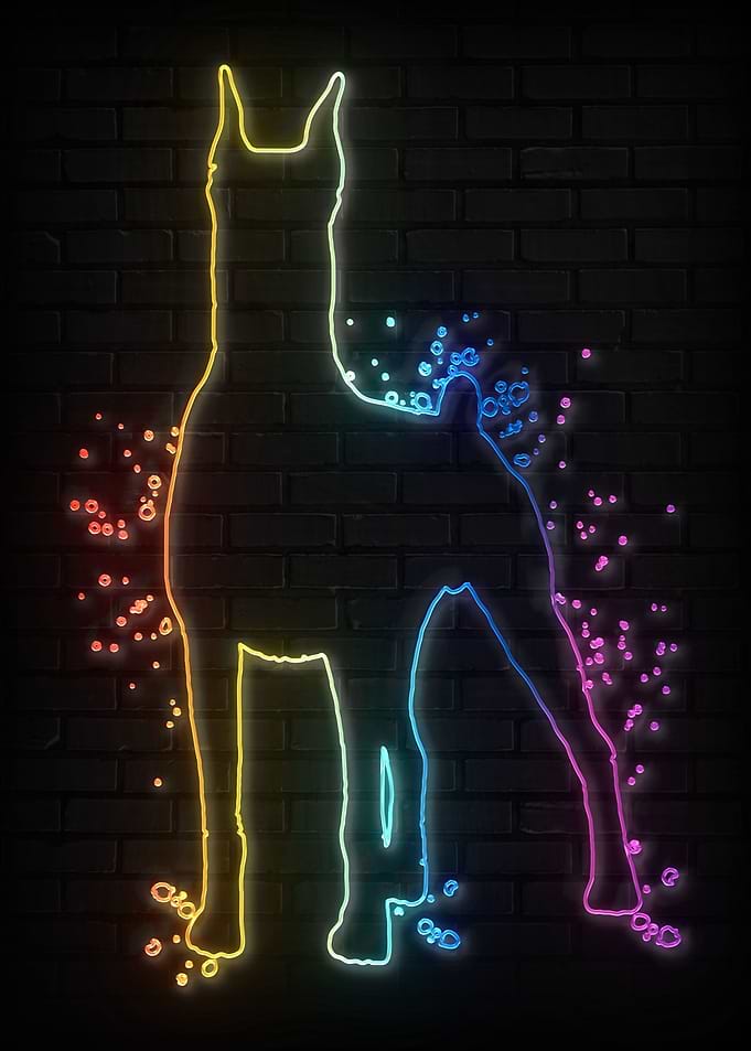 Doberman