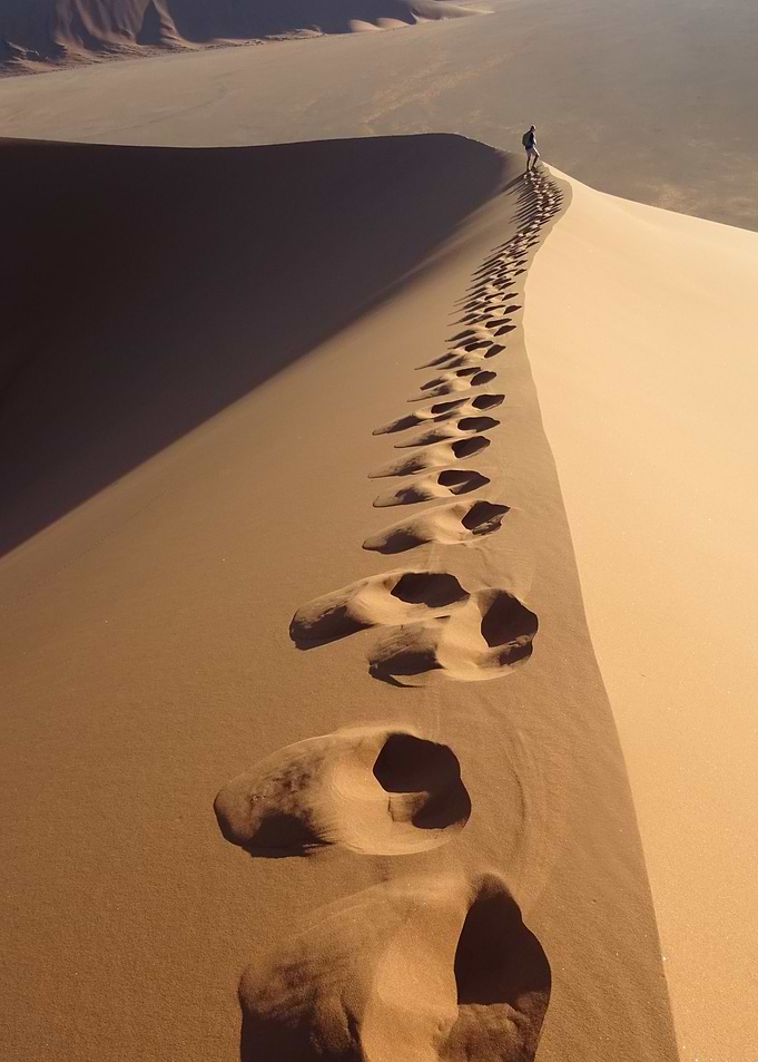 Lost in the Desert